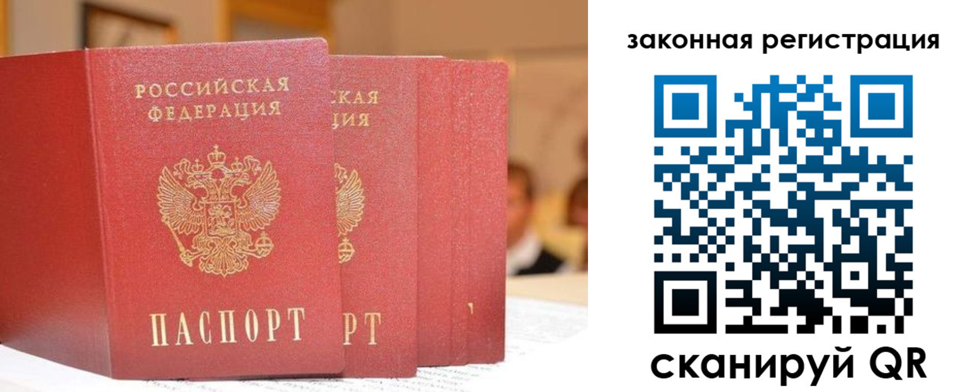 прописка поиск в Клинцах